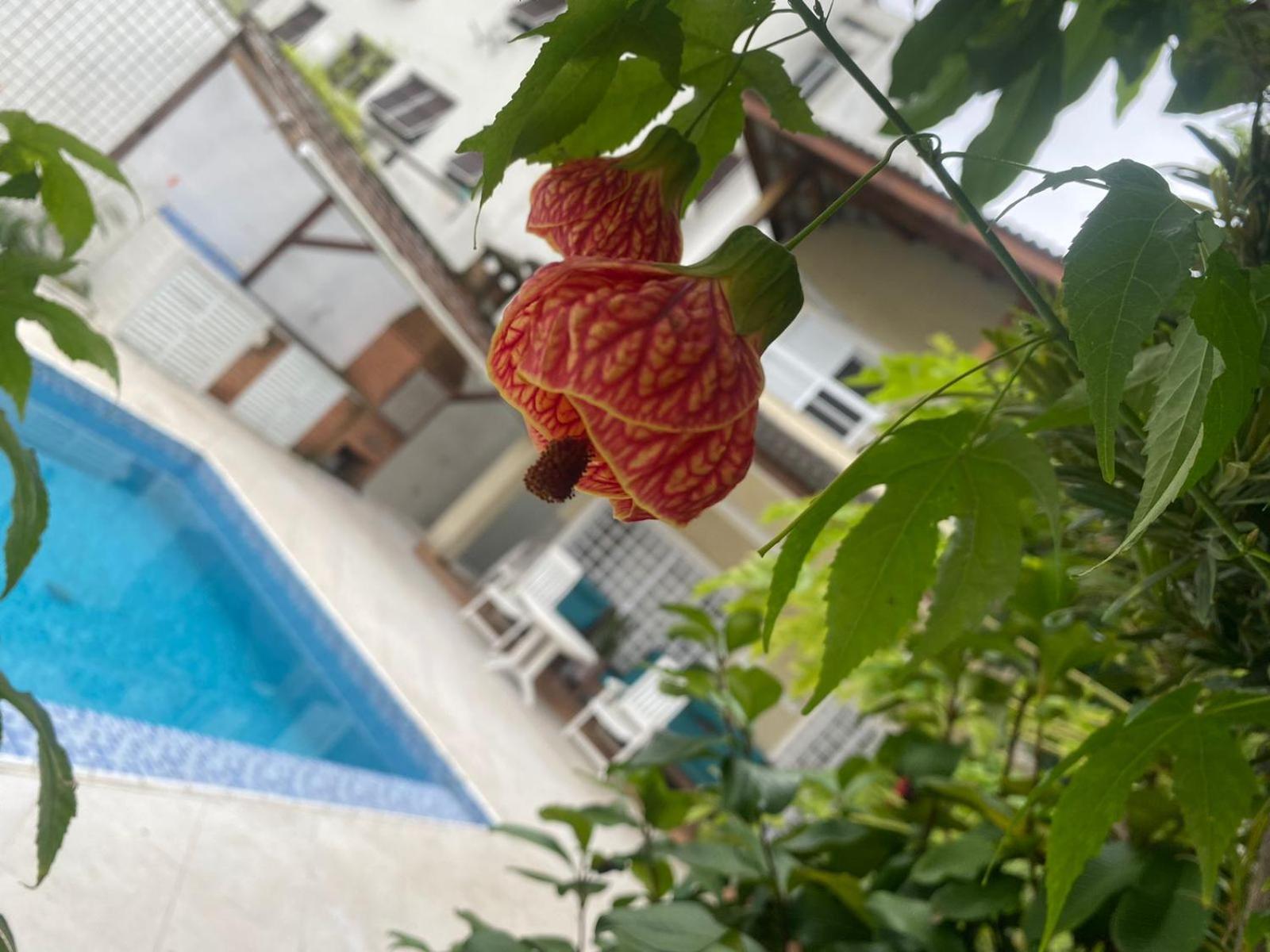 Pousada do Tio Cido - 50 metros da praia da Enseada Guarujá Exterior foto